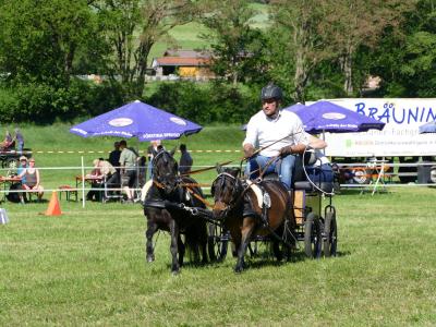 Foto des Albums: Fahrturnier Hilders 2019