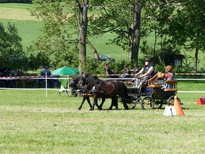 Foto des Albums: Fahrturnier Hilders 2019