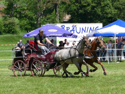 Foto des Albums: Fahrturnier Hilders 2019