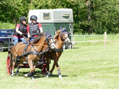 Foto des Albums: Fahrturnier Hilders 2019