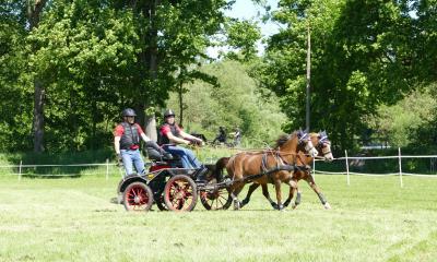 Foto des Albums: Fahrturnier Hilders 2019