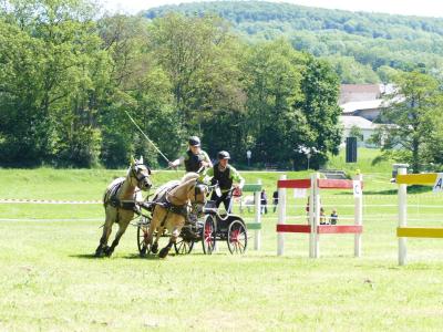 Foto des Albums: Fahrturnier Hilders 2019