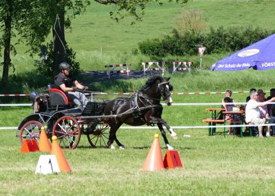Foto des Albums: Fahrturnier Hilders 2019