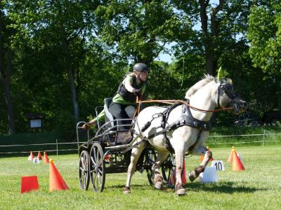 Foto des Albums: Fahrturnier Hilders 2019