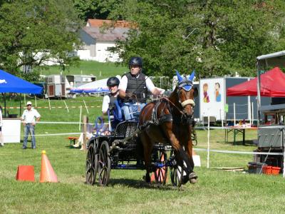 Foto des Albums: Fahrturnier Hilders 2019
