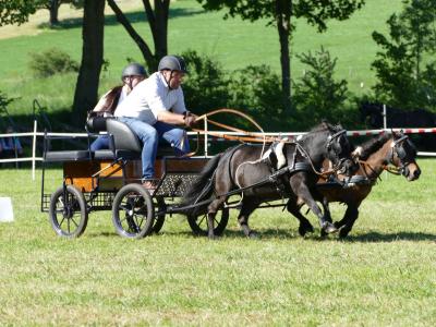 Foto des Albums: Fahrturnier Hilders 2019