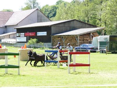 Foto des Albums: Fahrturnier Hilders 2019
