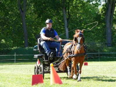 Foto des Albums: Fahrturnier Hilders 2019