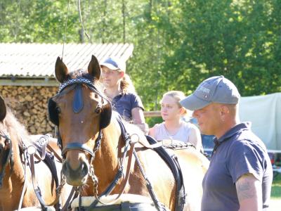 Foto des Albums: Fahrturnier Hilders 2019