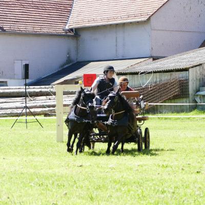 Foto des Albums: Fahrturnier Hilders 2019