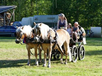 Foto des Albums: Fahrturnier Hilders 2019