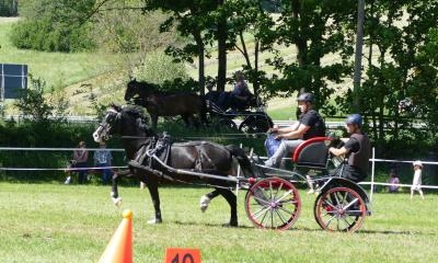 Foto des Albums: Fahrturnier Hilders 2019