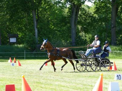 Foto des Albums: Fahrturnier Hilders 2019
