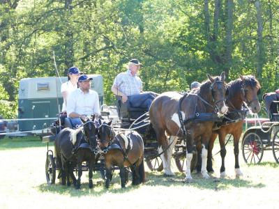 Foto des Albums: Fahrturnier Hilders 2019
