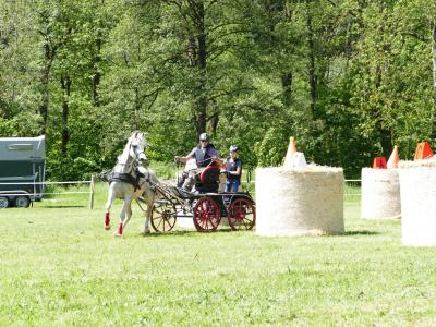 Foto des Albums: Fahrturnier Hilders 2019