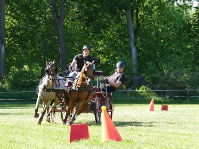 Foto des Albums: Fahrturnier Hilders 2019