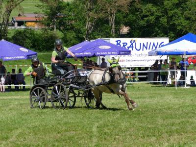 Foto des Albums: Fahrturnier Hilders 2019