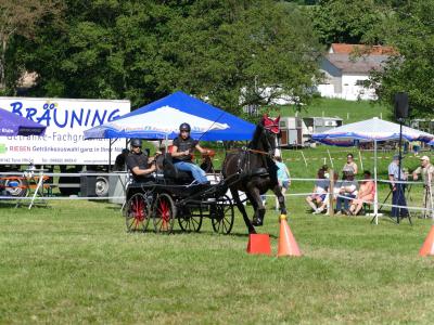 Foto des Albums: Fahrturnier Hilders 2019