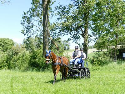 Foto des Albums: Fahrturnier Hilders 2019