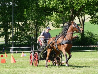 Foto des Albums: Fahrturnier Hilders 2019