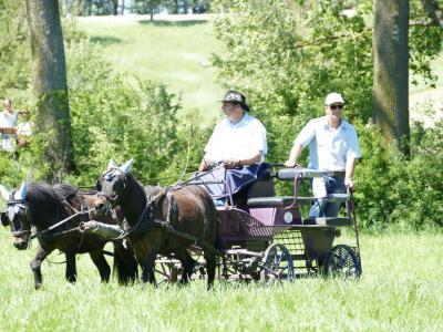 Foto des Albums: Fahrturnier Hilders 2019