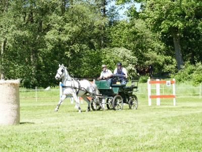 Foto des Albums: Fahrturnier Hilders 2019