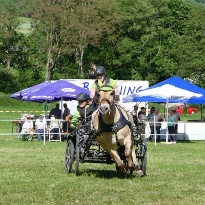 Foto des Albums: Fahrturnier Hilders 2019