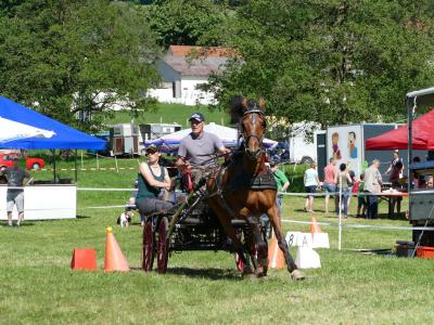 Foto des Albums: Fahrturnier Hilders 2019