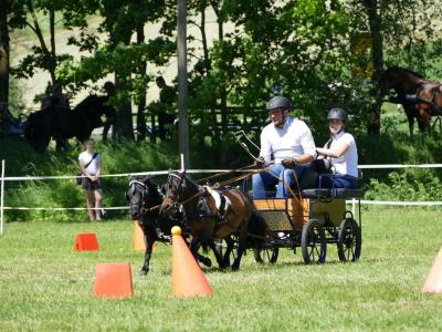 Foto des Albums: Fahrturnier Hilders 2019