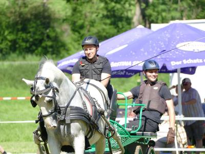 Foto des Albums: Fahrturnier Hilders 2019