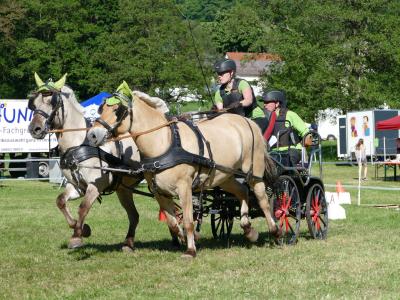 Foto des Albums: Fahrturnier Hilders 2019