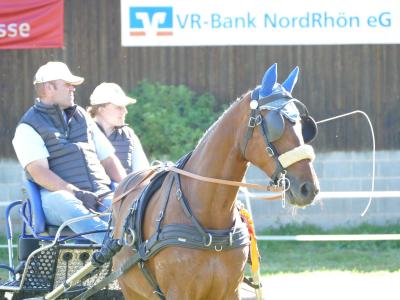 Foto des Albums: Fahrturnier Hilders 2019