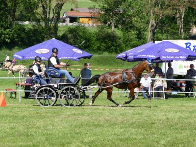 Foto des Albums: Fahrturnier Hilders 2019