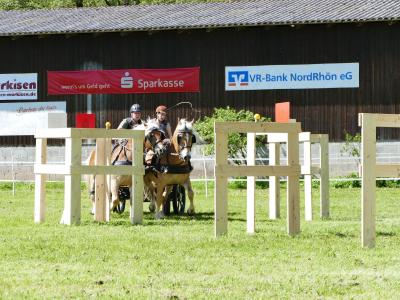 Foto des Albums: Fahrturnier Hilders 2019