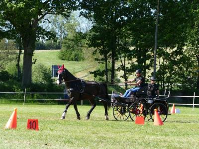 Foto des Albums: Fahrturnier Hilders 2019