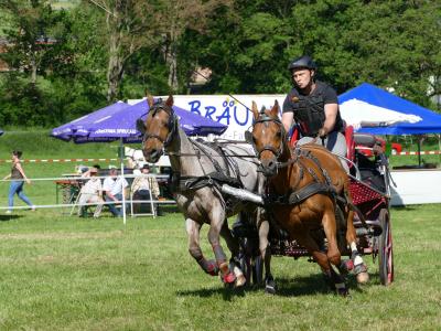 Foto des Albums: Fahrturnier Hilders 2019