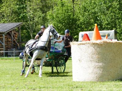 Foto des Albums: Fahrturnier Hilders 2019