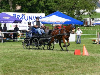Foto des Albums: Fahrturnier Hilders 2019
