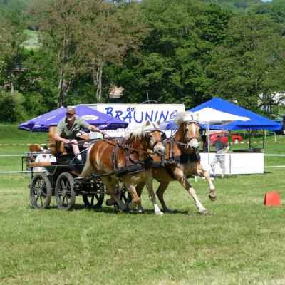 Foto des Albums: Fahrturnier Hilders 2019
