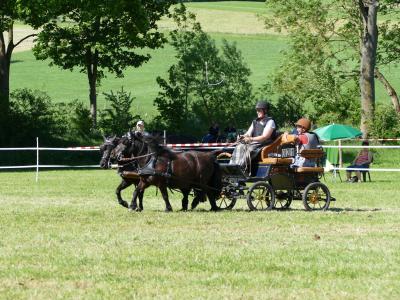 Foto des Albums: Fahrturnier Hilders 2019