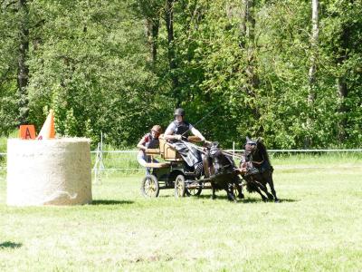 Foto des Albums: Fahrturnier Hilders 2019