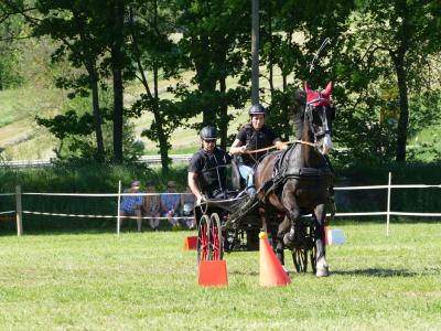 Foto des Albums: Fahrturnier Hilders 2019