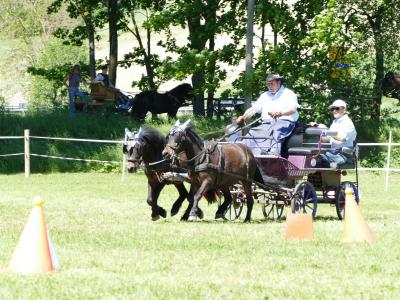 Foto des Albums: Fahrturnier Hilders 2019