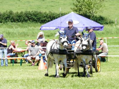 Foto des Albums: Fahrturnier Hilders 2019