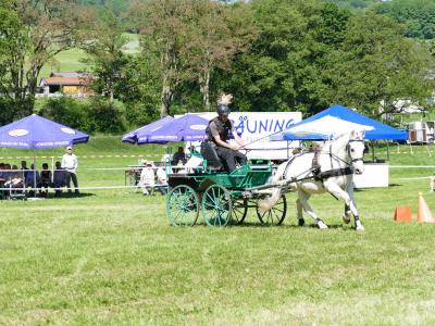 Foto des Albums: Fahrturnier Hilders 2019