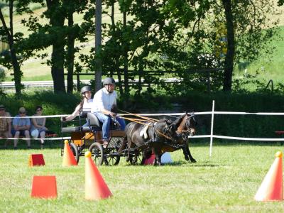 Foto des Albums: Fahrturnier Hilders 2019