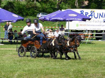Foto des Albums: Fahrturnier Hilders 2019