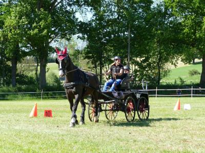 Foto des Albums: Fahrturnier Hilders 2019