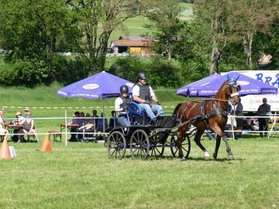 Foto des Albums: Fahrturnier Hilders 2019