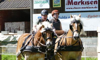 Foto des Albums: Fahrturnier Hilders 2019